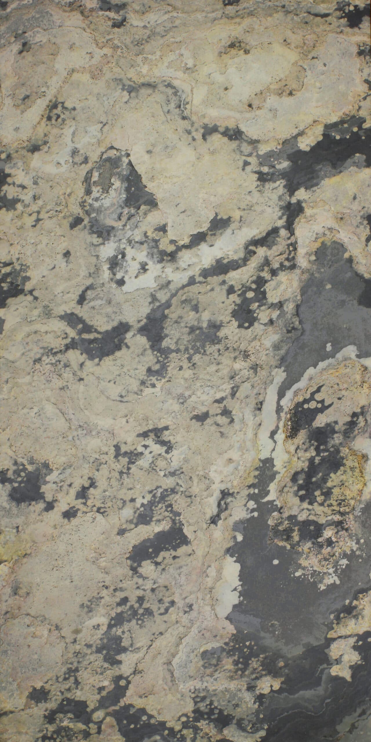 Feuille de Pierre Naturelle Moscou