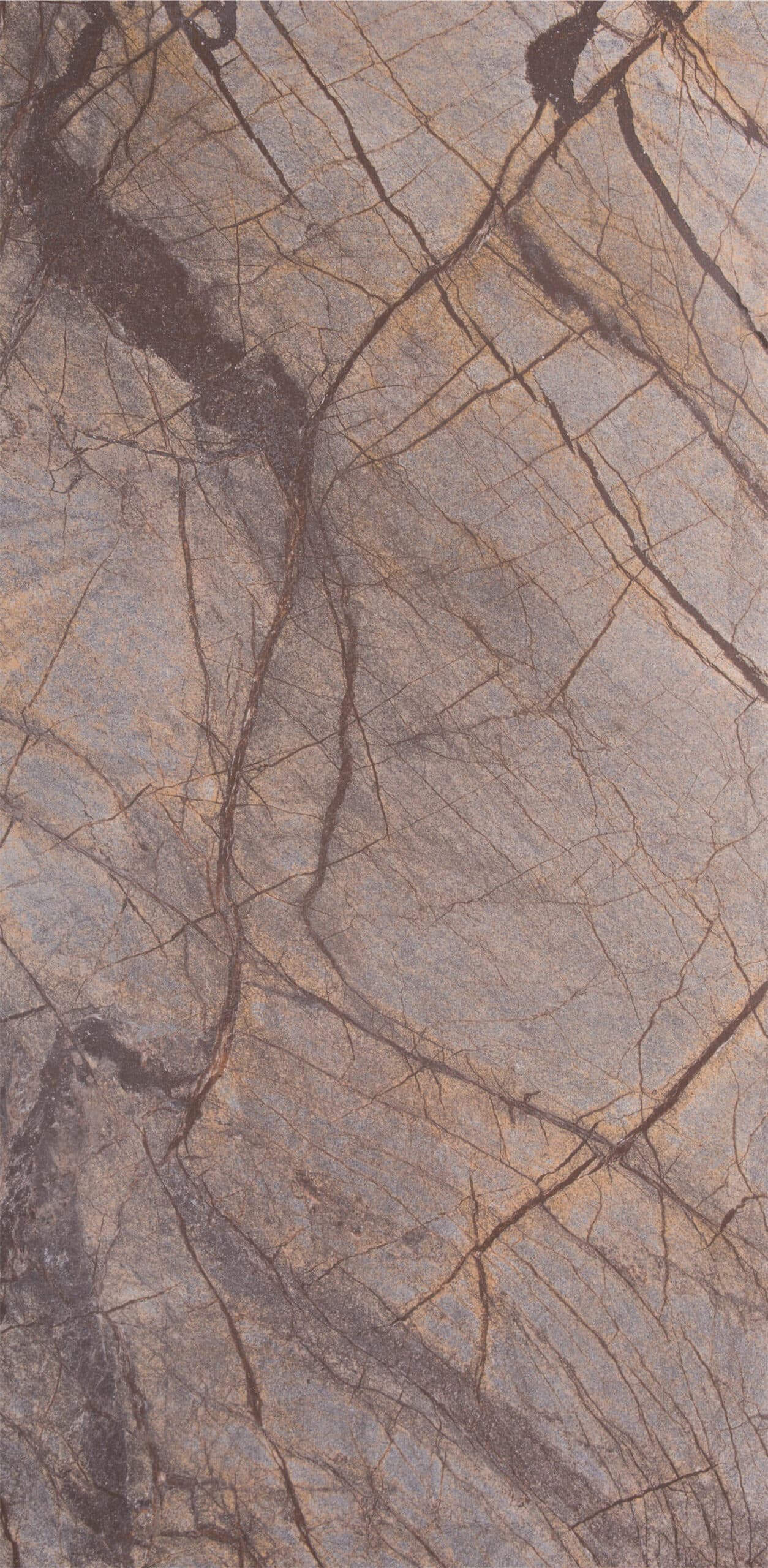 Feuille de Pierre Naturelle Pretoria