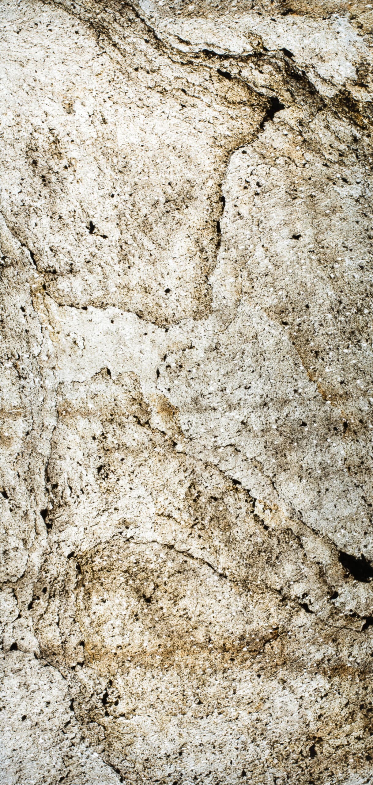 Pierre Translucide Amsterdam